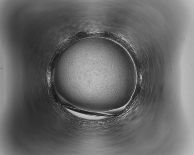 X0000096631348200802051058