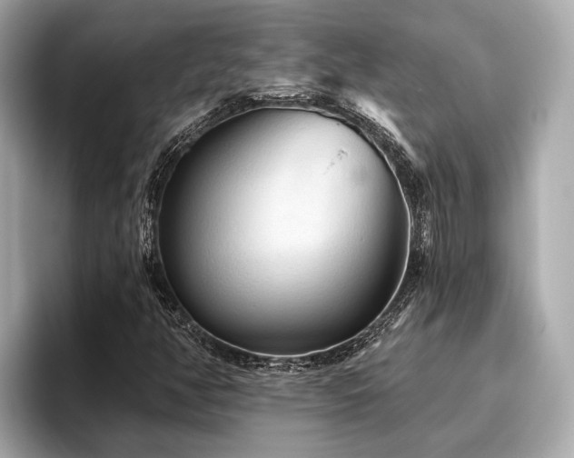 X0000096631350200802051058