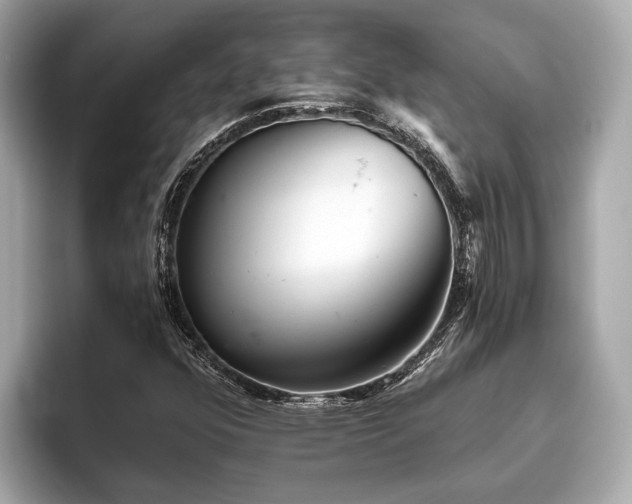 X0000096631352200802051058