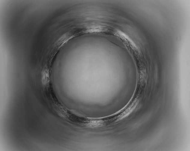 X0000096631353200802051058