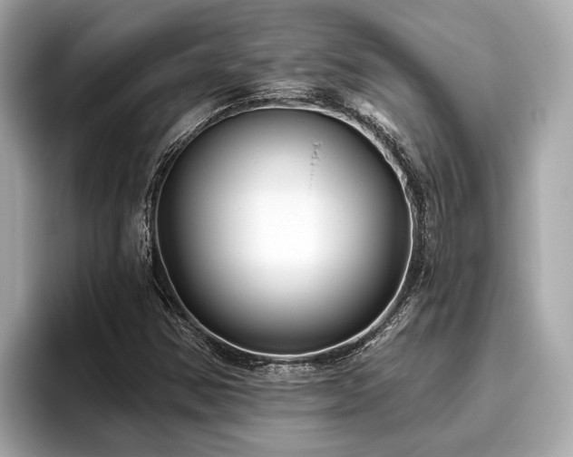 X0000096631354200802051058