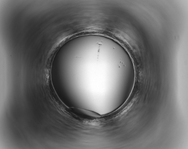 X0000096631355200802051058