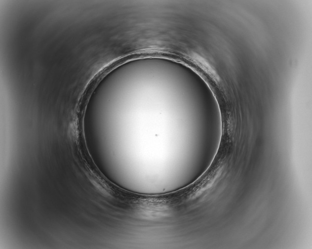 X0000096631356200802051058