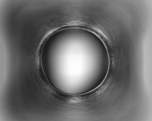 X0000096631358200802051058