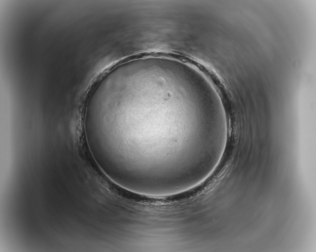 X0000096631359200802051058