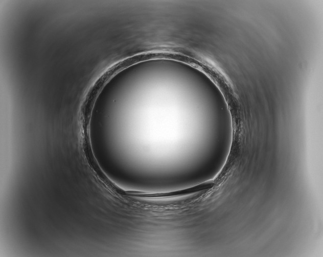 X0000096631360200802051058