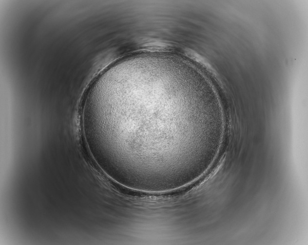 X0000096631362200802051058