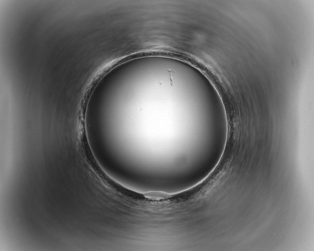 X0000096631363200802051058