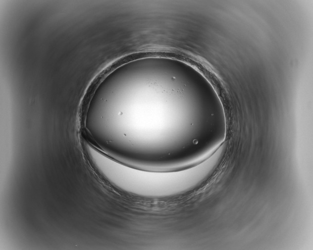 X0000096631364200802051058