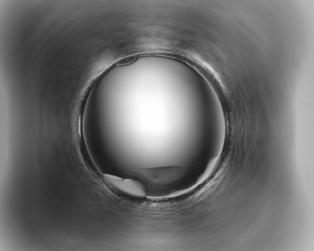 X0000096631365200802051058