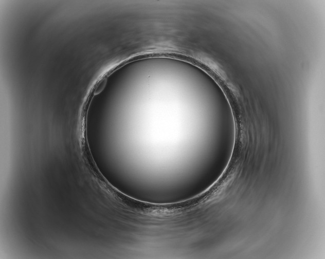 X0000096631366200802051058