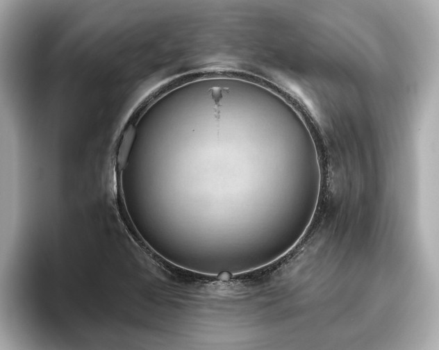 X0000096631368200802051058