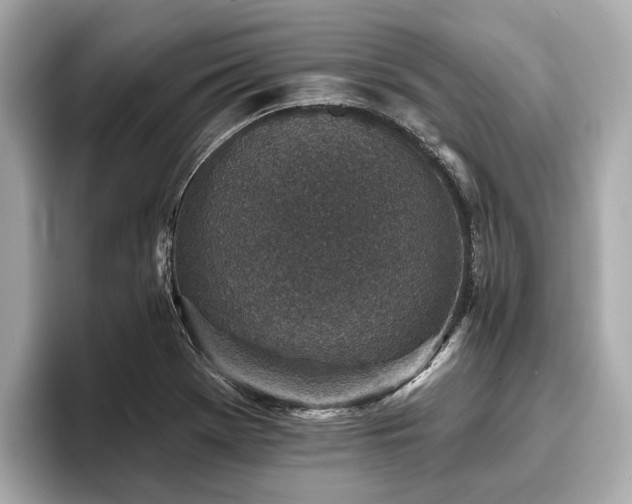 X0000096631369200802051058