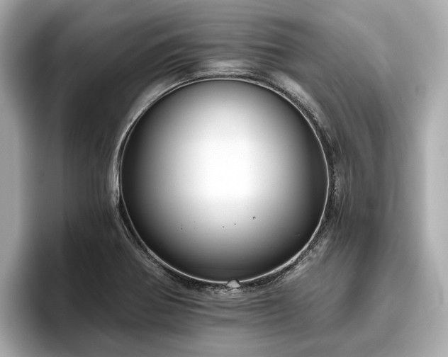 X0000096631370200802051058