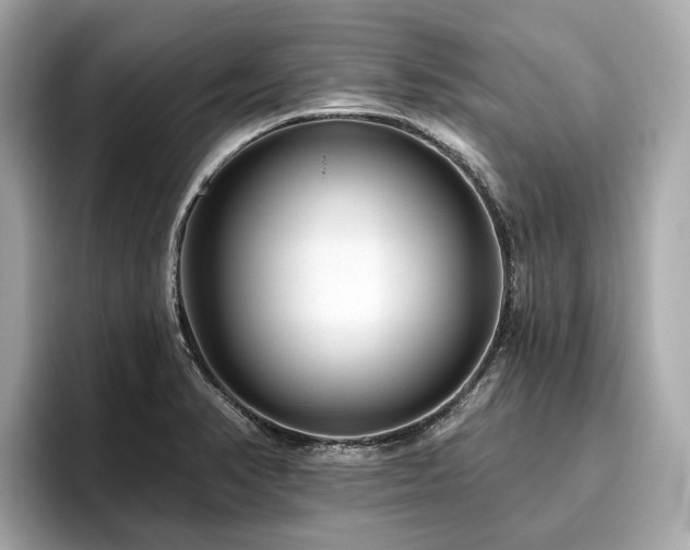 X0000096631374200802051058