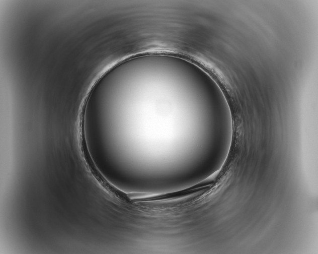X0000096631375200802051058