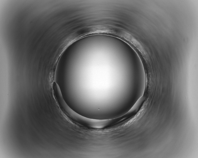 X0000096631377200802051058