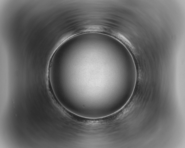X0000096631378200802051058