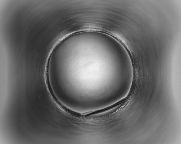 X0000096631379200802051058