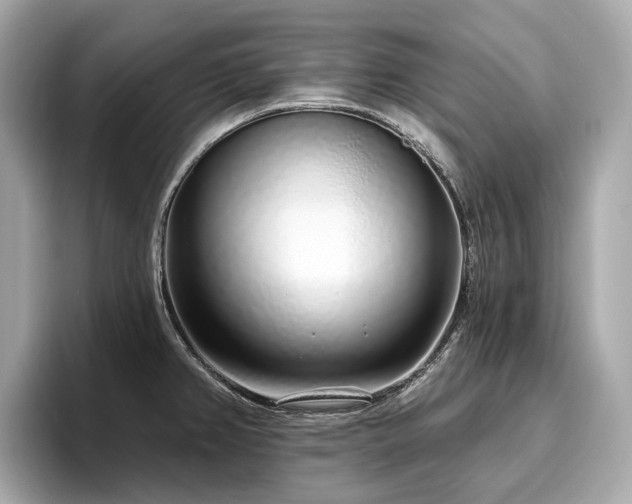 X0000096631382200802051058
