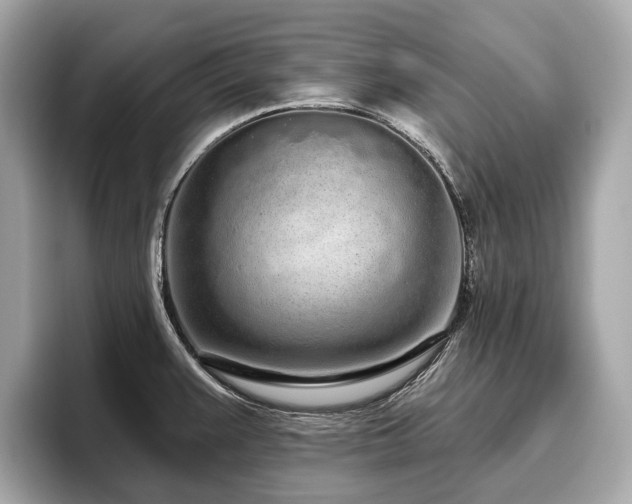 X0000096631383200802051057