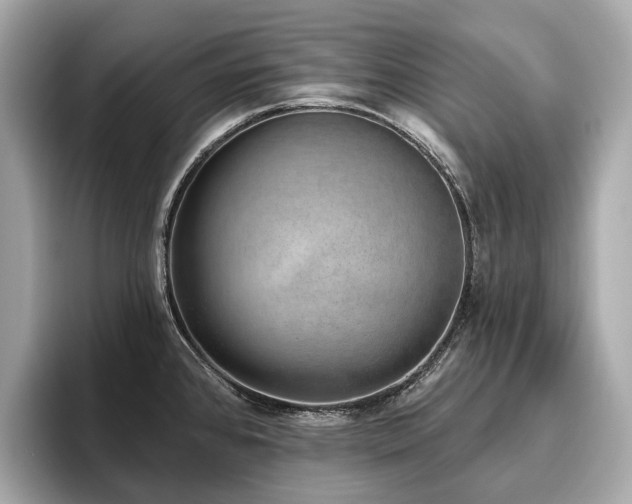 X0000096631384200802051057