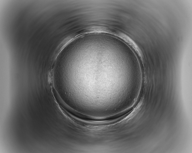 X0000096631385200802051057