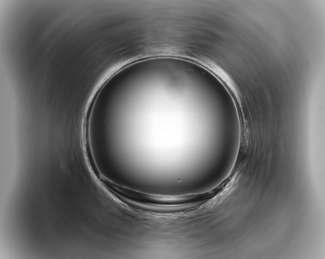 X0000096631389200802051057
