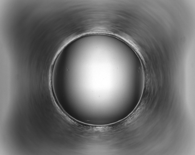 X0000096631390200802051057