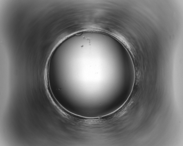 X0000096631391200802051057