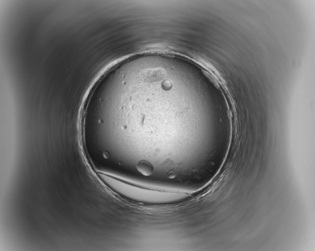X0000096631392200802051057