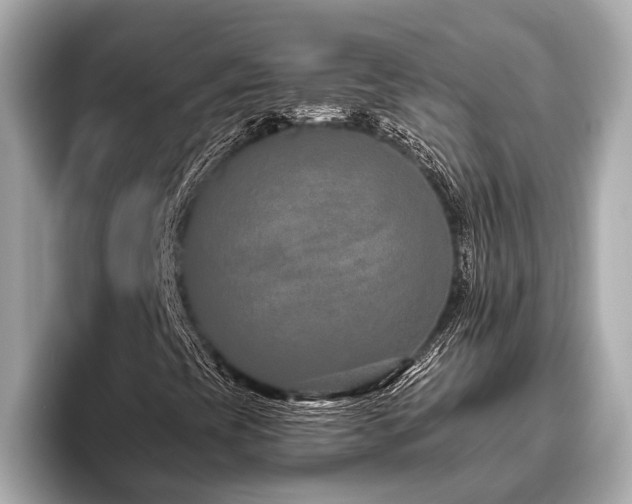X0000096631393200802051057