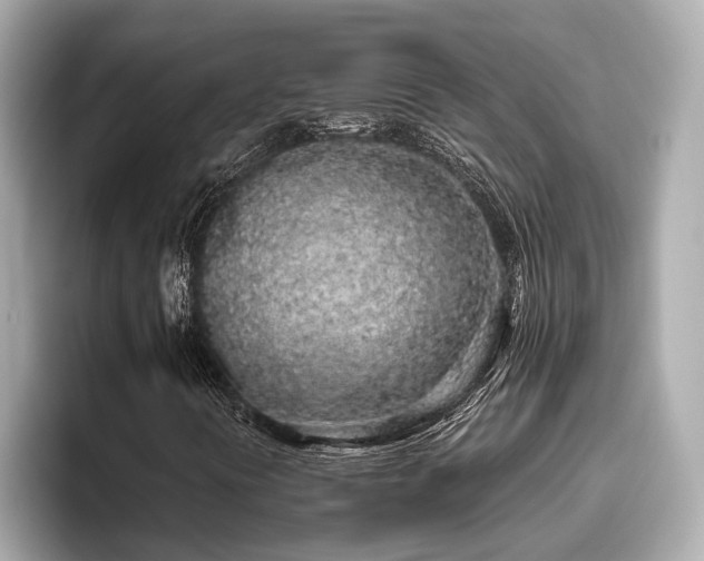 X0000096631394200802051057