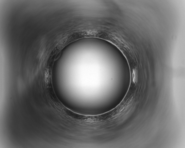 X0000096631395200802051057