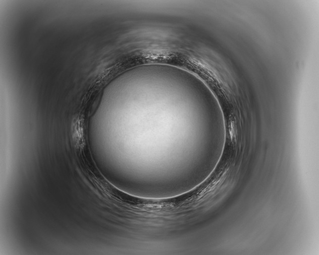 X0000096631396200802051057