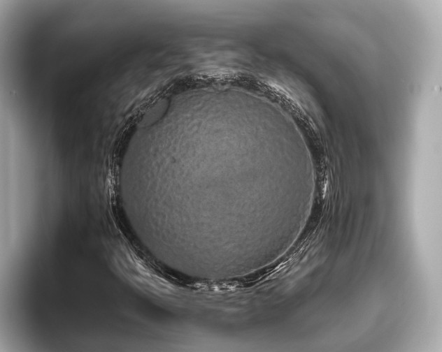 X0000096631397200802051057