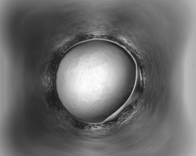 X0000096631398200802051057