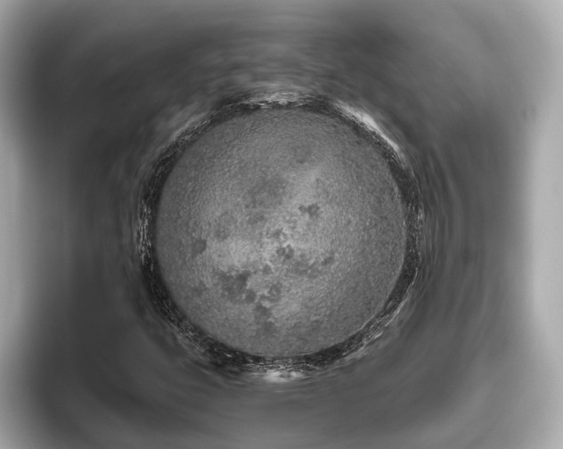 X0000096631399200802051057
