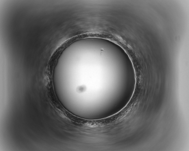 X0000096631400200802051057