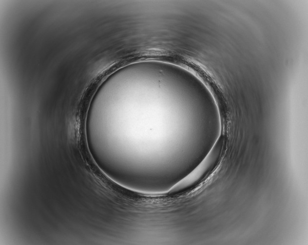 X0000096631402200802051057