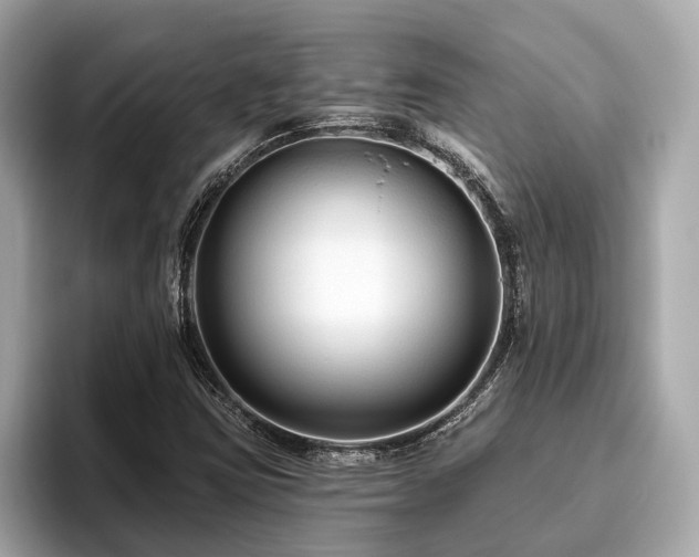 X0000096631403200802051057