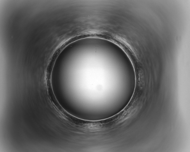 X0000096631404200802051057