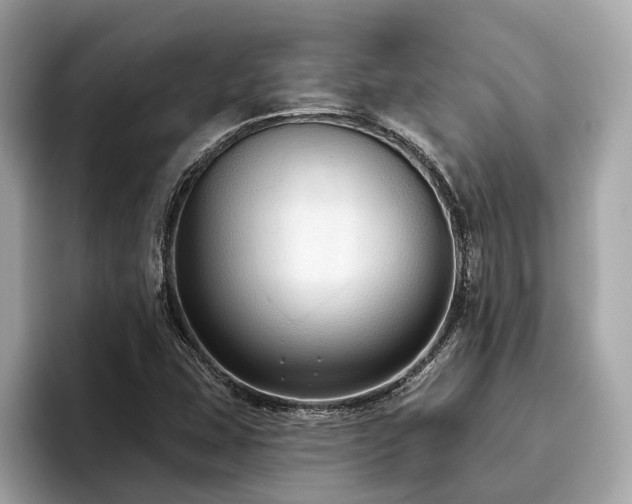 X0000096631407200802051057