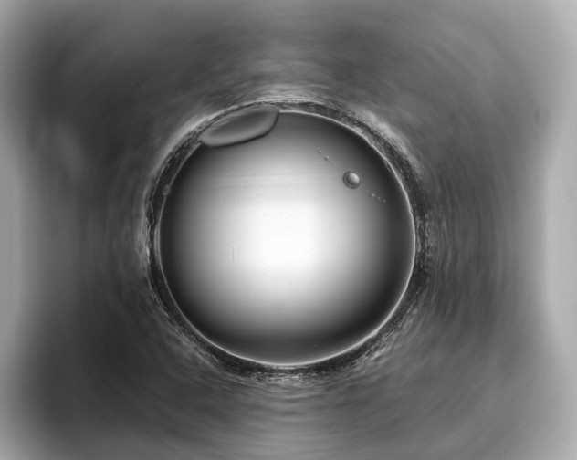 X0000096631408200802051057