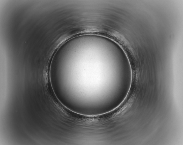 X0000096631409200802051057