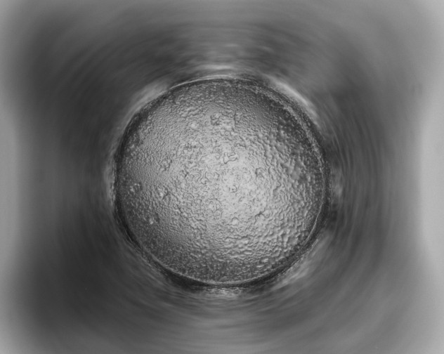 X0000096631411200802051057