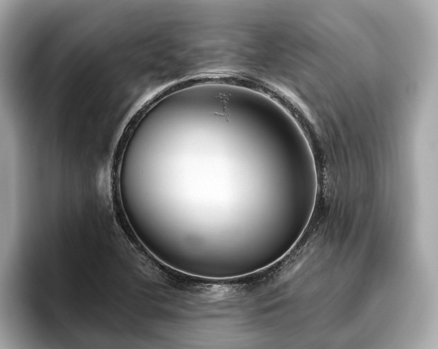 X0000096631412200802051057