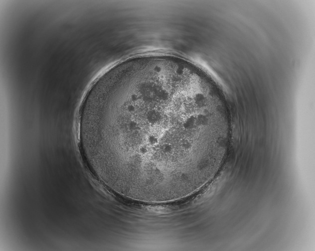 X0000096631413200802051057