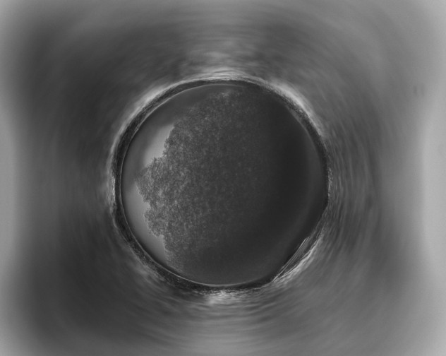 X0000096631414200802051057