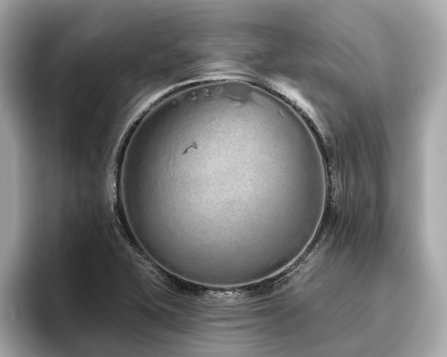 X0000096631415200802051057